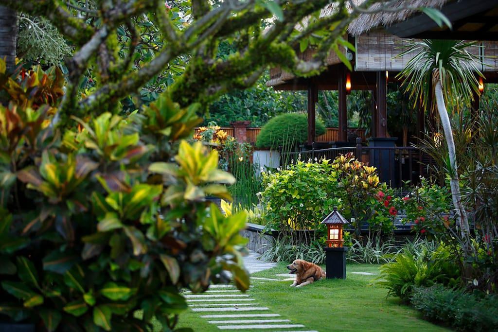 Villa L'Orange Bali Keramas Værelse billede